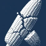 Agriculteur sinistré en champ sec, aide immédiate milliards agriculteurs demandée