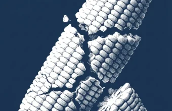 Agriculteur sinistré en champ sec, aide immédiate milliards agriculteurs demandée