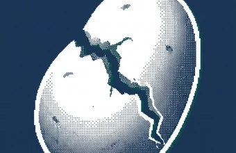 récolte pommes de terre 2026 — illustration