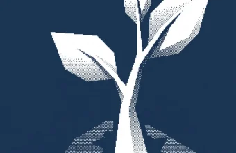 levée de fonds iziboat international — illustration