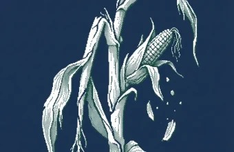 sécheresse agriculture france 2026 — illustration