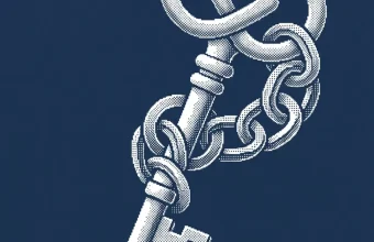 vinci — illustration