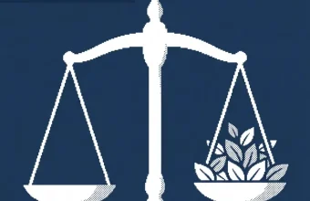 Logo Derichebourg et schéma illustrant une émission d'obligations vertes échéances 2031-2033