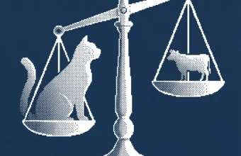 Bilan semestriel de Virbac : chiffre d'affaires, marge et perspectives financières