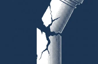 2crsi — illustration
