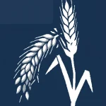 Synthèse des résultats semestriels 2026 et point opérationnel d'AgroGeneration